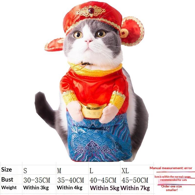 Dog clothes, small dogs, funny and funny transformations, teddy cats, creative clothes, pet cat clothing
