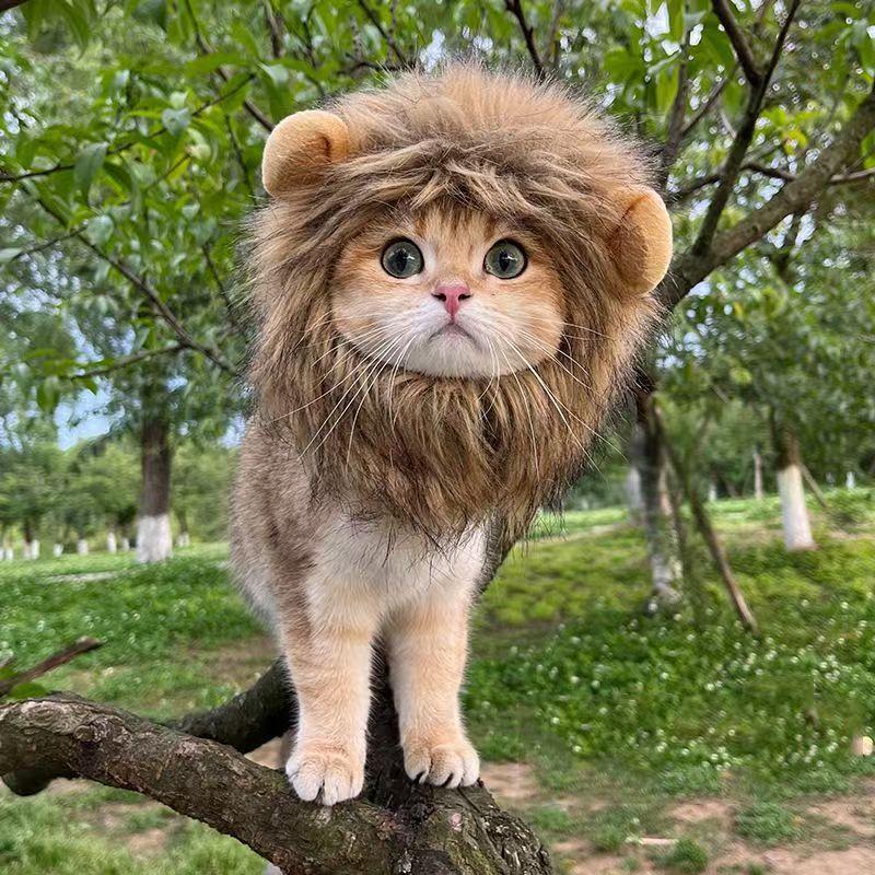 Halloween Ghost Festival Costume for Cats and Dogs, Adorable Adjustable Magic Tape Lion Transformation Pet Hat for Autumn and Winter