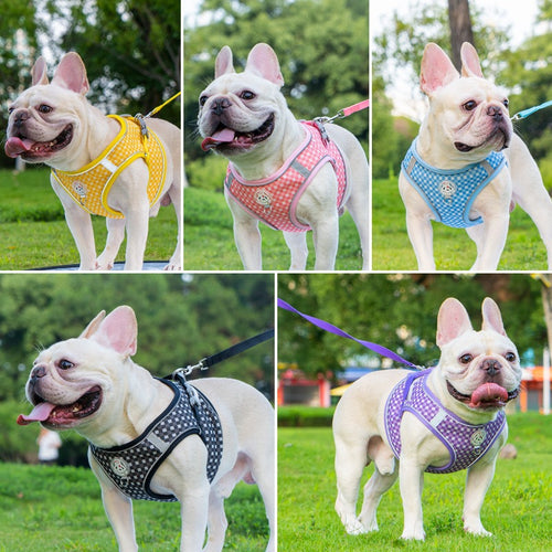 Dog cat vest style safety belt, small and medium-sized pet breathable chest harness, walking dog round rope, reflective dog rope