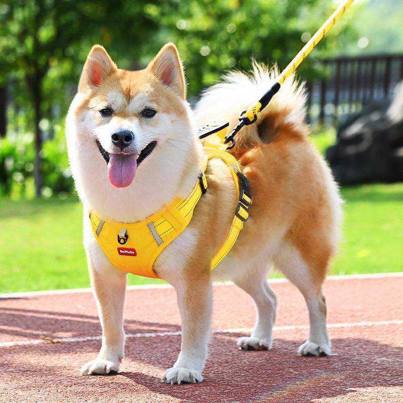 tactical dog harness with handle Dog leash, explosion-proof vest style pet chest harness, small and medium-sized dog walking leash