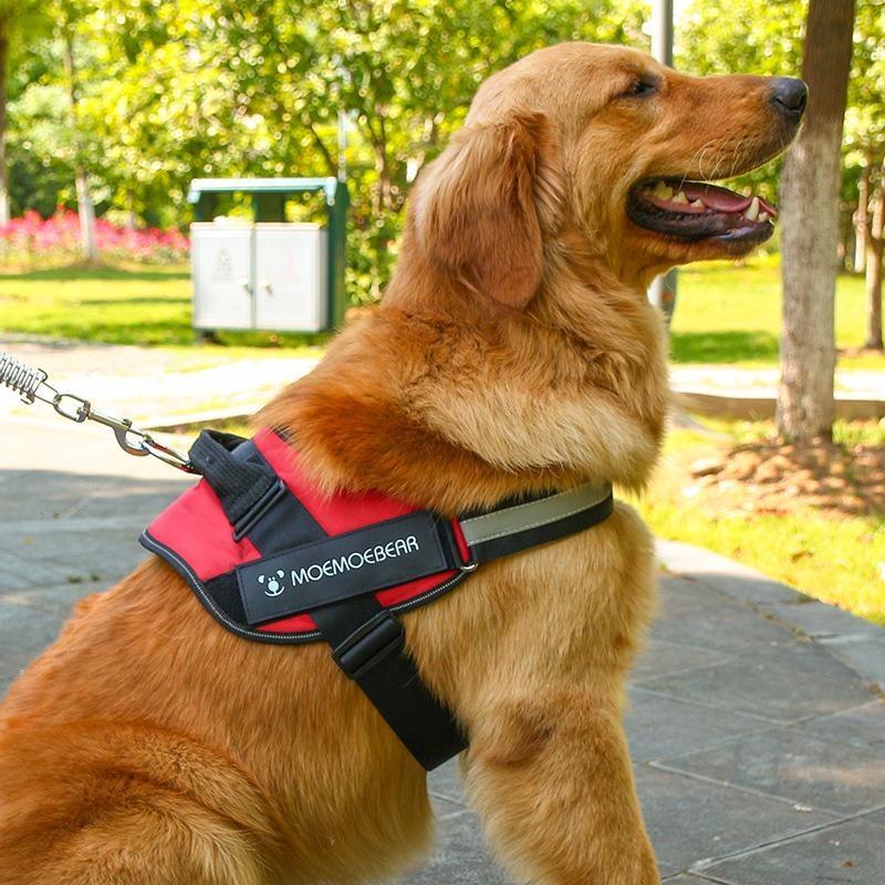 Pet Dog Outdoor Chest Strap Oxford Cloth Explosion proof Chest Strap Dog Rope Dog Vest Safety Belt