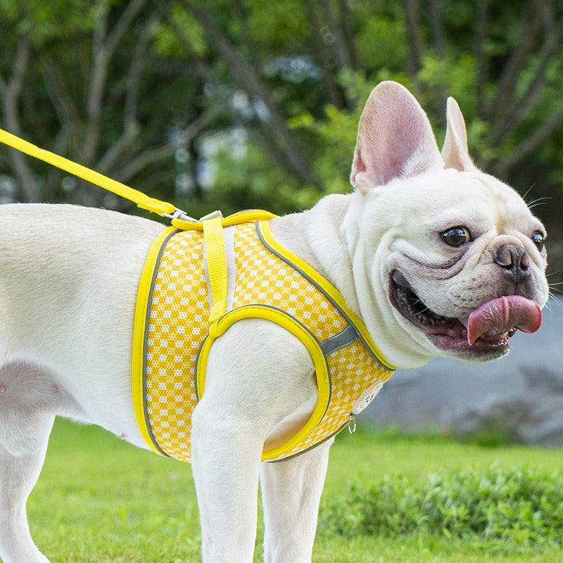 Dog cat vest style safety belt, small and medium-sized pet breathable chest harness, walking dog round rope, reflective dog rope