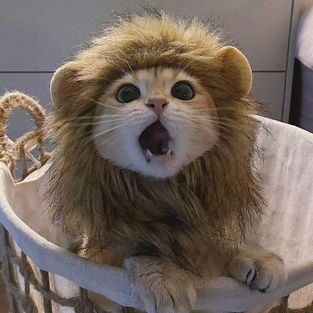 Halloween Ghost Festival Costume for Cats and Dogs, Adorable Adjustable Magic Tape Lion Transformation Pet Hat for Autumn and Winter
