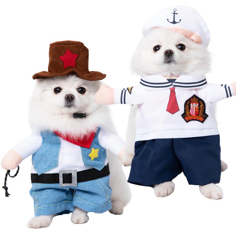 Dog clothes, small dogs, funny and funny transformations, teddy cats, creative clothes, pet cat clothing
