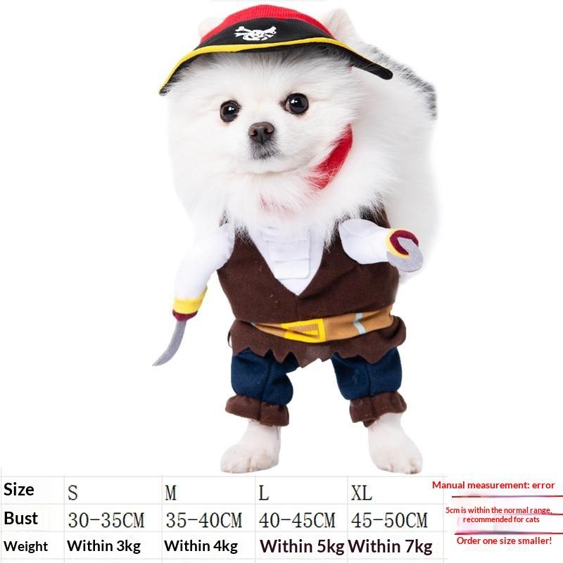 Dog clothes, small dogs, funny and funny transformations, teddy cats, creative clothes, pet cat clothing