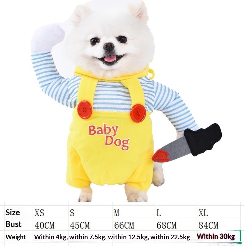 Dog clothes, small dogs, funny and funny transformations, teddy cats, creative clothes, pet cat clothing