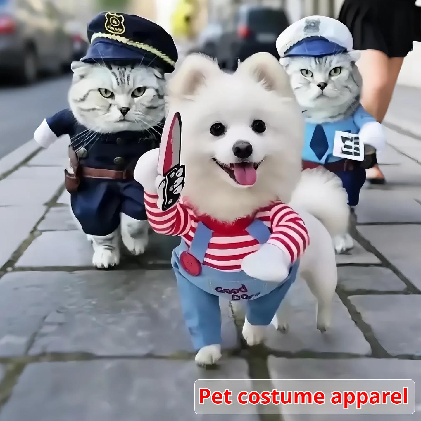 Dog clothes, small dogs, funny and funny transformations, teddy cats, creative clothes, pet cat clothing