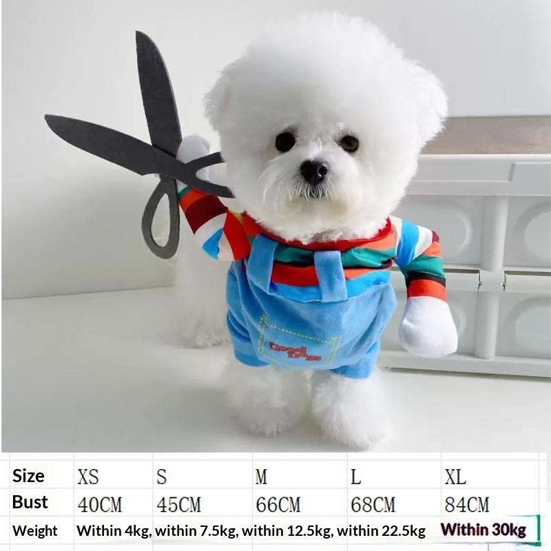 Dog clothes, small dogs, funny and funny transformations, teddy cats, creative clothes, pet cat clothing