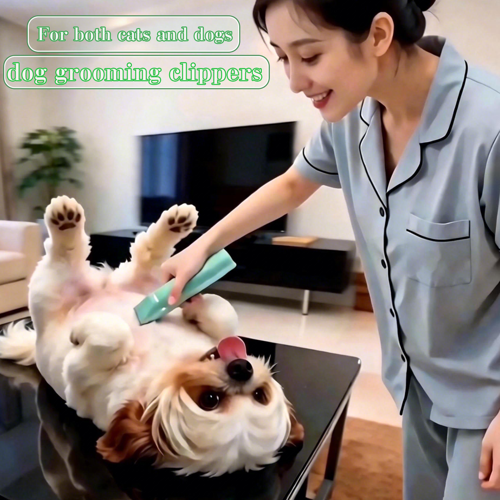 Pet electric clipper, cat dog electric clipper, cat specific beauty shaver, dog hair clipper, hair clipper, hair trimmer